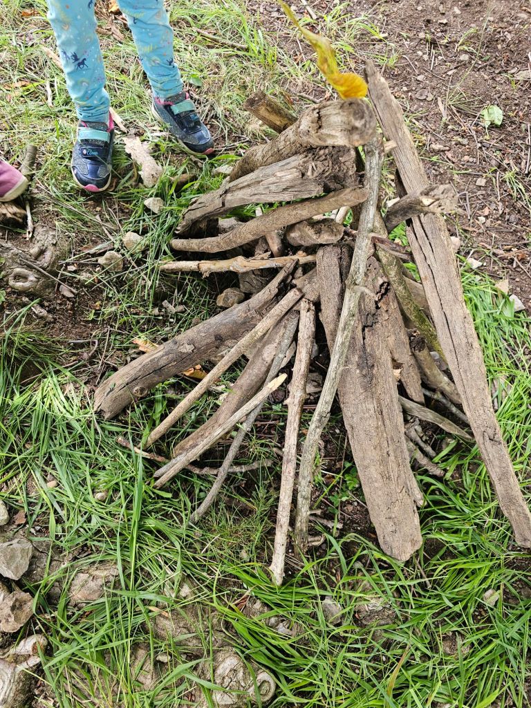 20240606_1236406282279069669299092