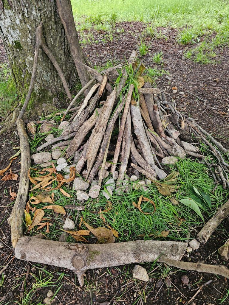 20240606_1236585218289686805744418